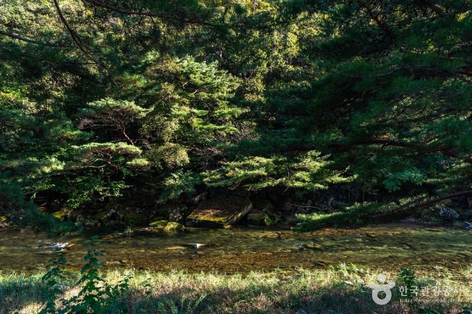 thumbnail-중선암-10