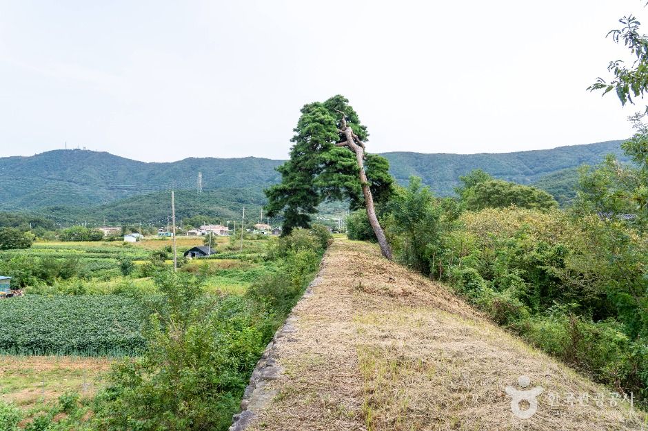 보령_남포읍성 (3)