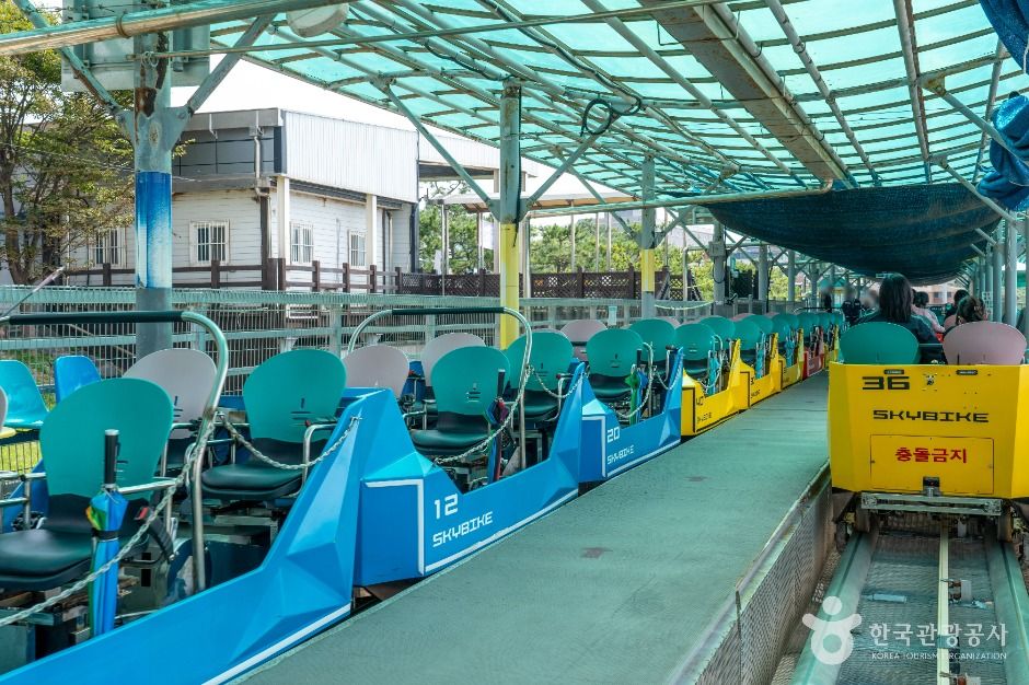 대천해수욕장 스카이바이크