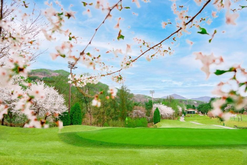 포천힐스컨트리클럽