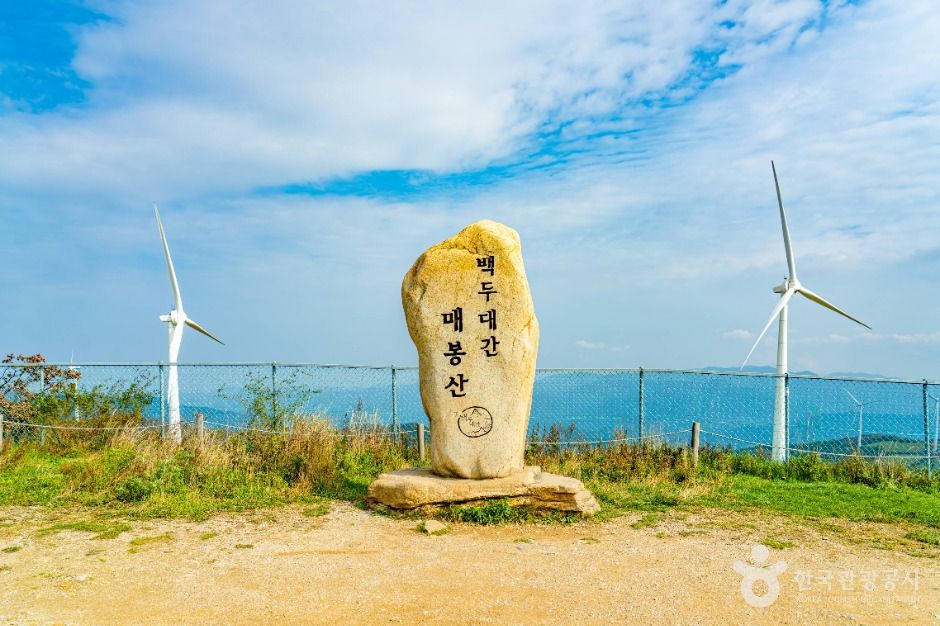매봉산풍력발전단지(바람의 언덕)