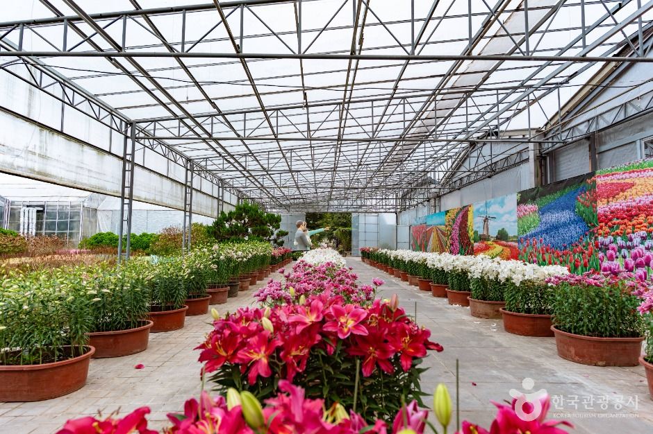 아산_세계꽃식물원 (4)