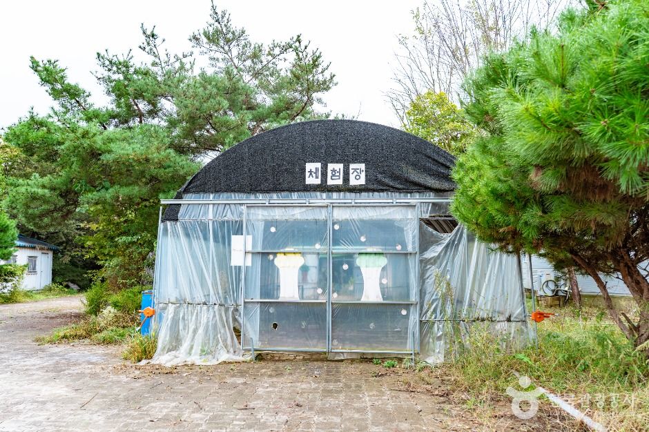 thumbnail-꾀꼴성마을-4