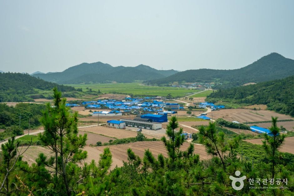 비금도 내촌마을 옛 담장