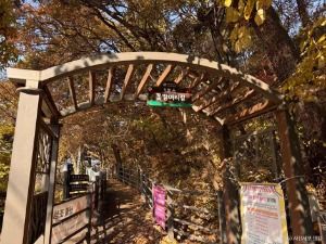 [치악산 둘레길 1코스] 꽃밭머리길