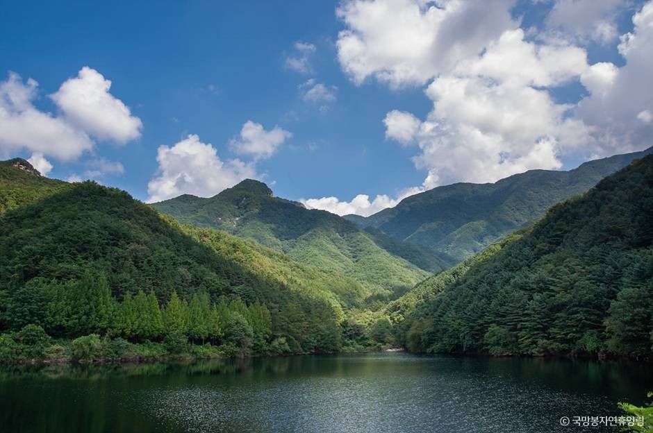 thumbnail-국망봉자연휴양림-1