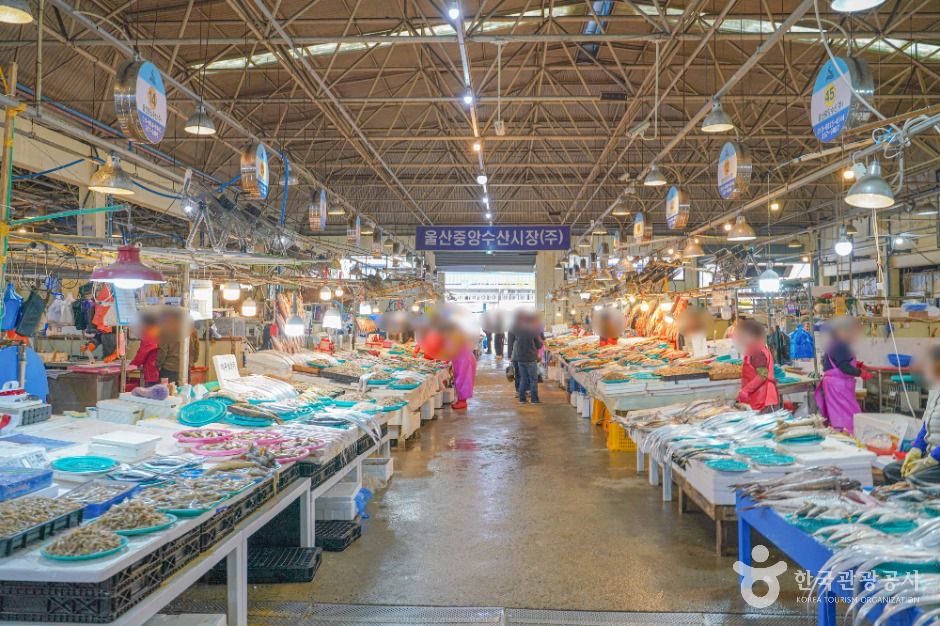 울산 농수산물도매시장