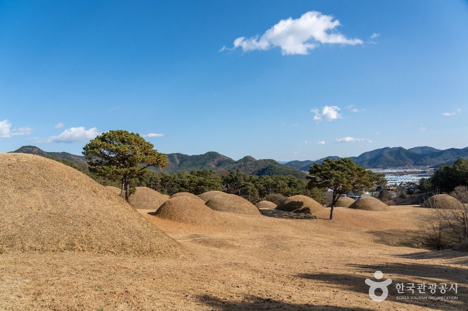 합천 옥전 고분군
