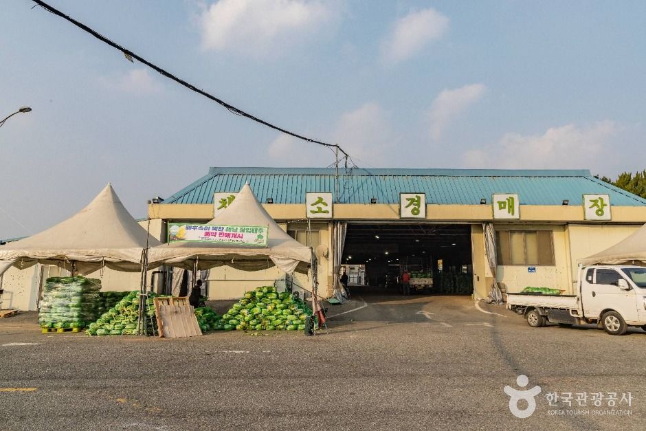 전주_전주시 농수산물도매시장 (4)