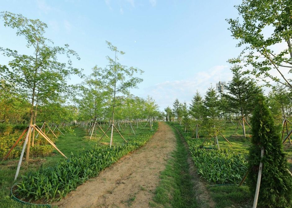 충주 시민의 숲