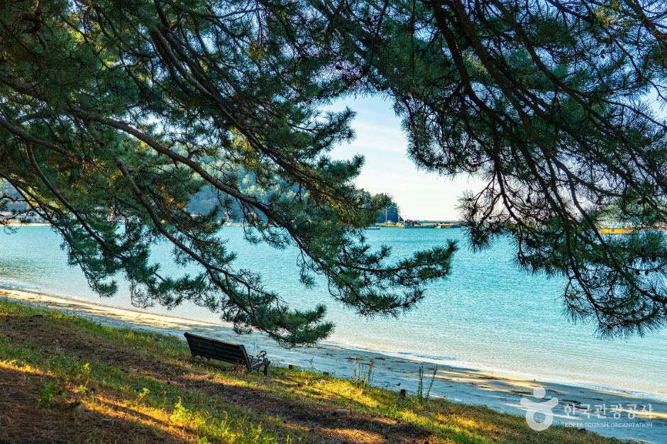 완도_지리청송해변 (7)