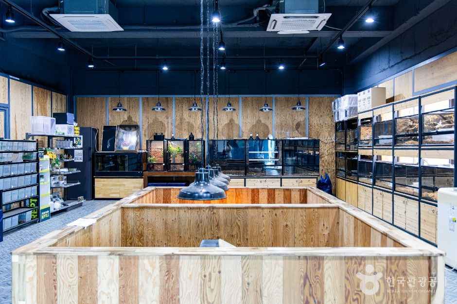 고성_포레스트카페 (5)