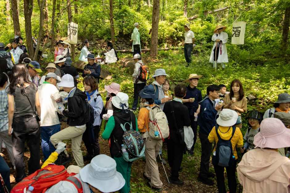 thumbnail-영주 소백산 철쭉제-1