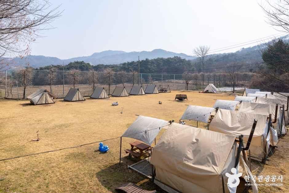 thumbnail-보광산관광농원-22