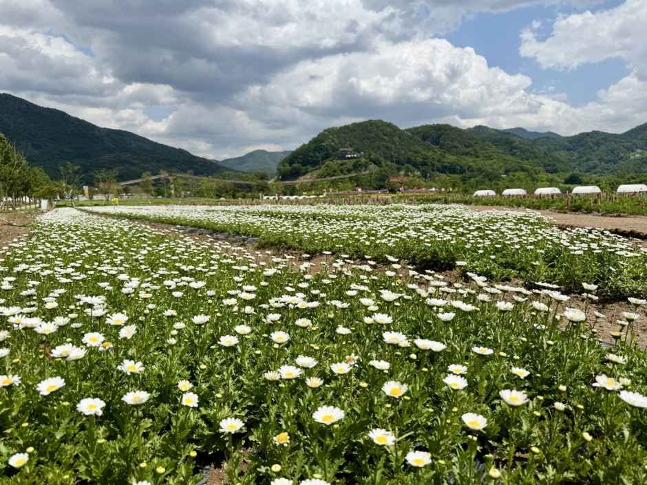 thumbnail-포천 한탄강 가든페스타-10