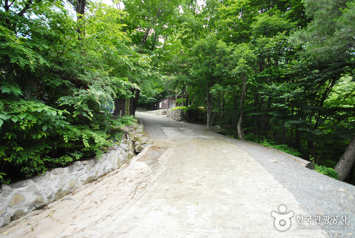 肝月山自然休養林(간월산 자연휴양림)5