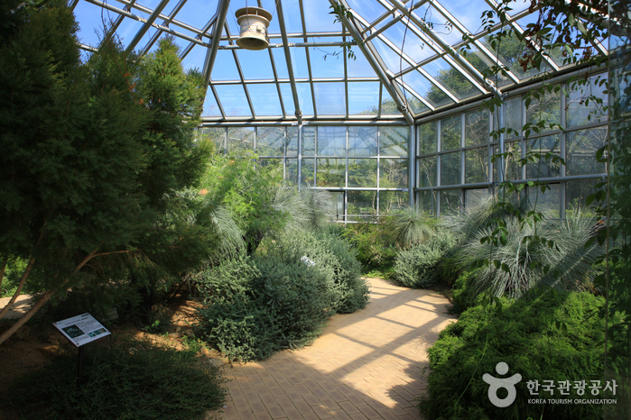 Hantaek Botanical Garden (한택식물원)