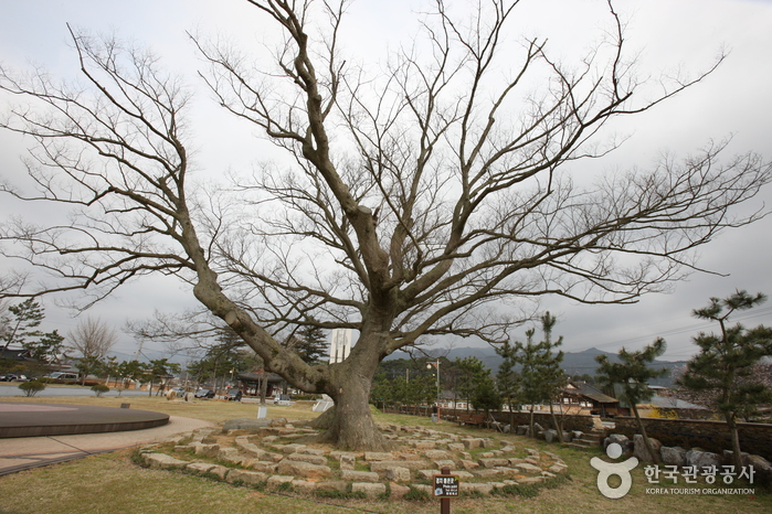 Yeongam Pottery Museum (영암도기박물관)