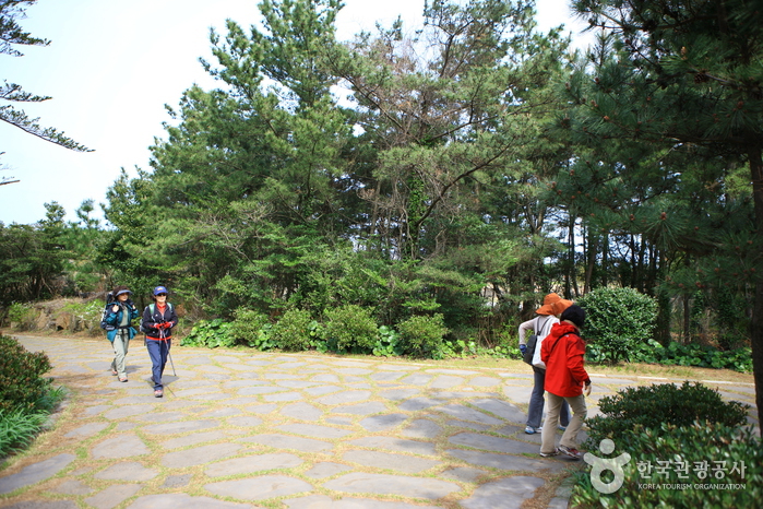 [제주올레 2코스] 광치기-온평 올레6