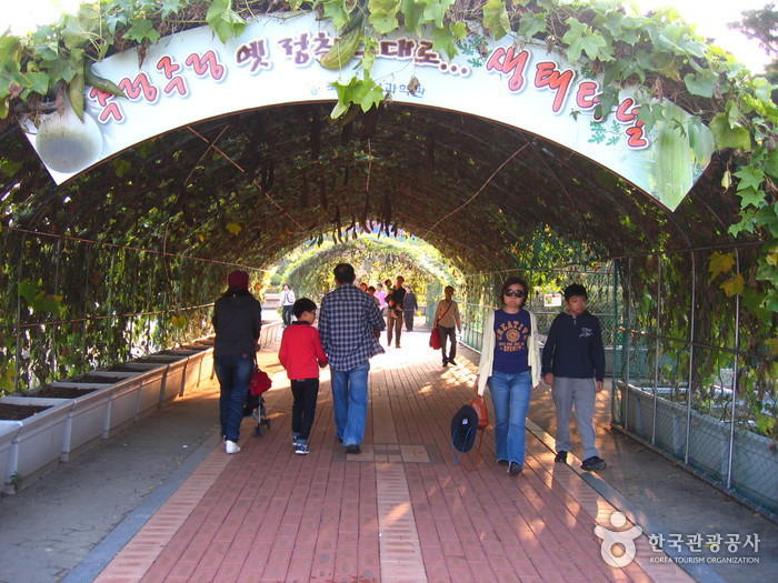 National Science Museum (국립중앙과학관)