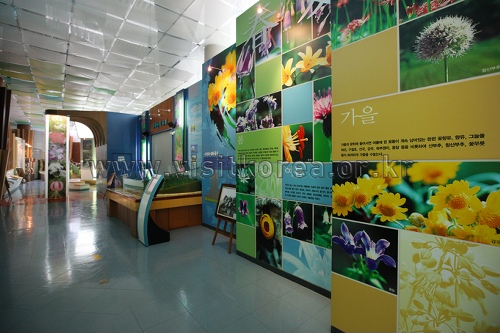 Jardin botaniques des fleurs sauvages du mont Gayasan (가야산 야생화식물원)