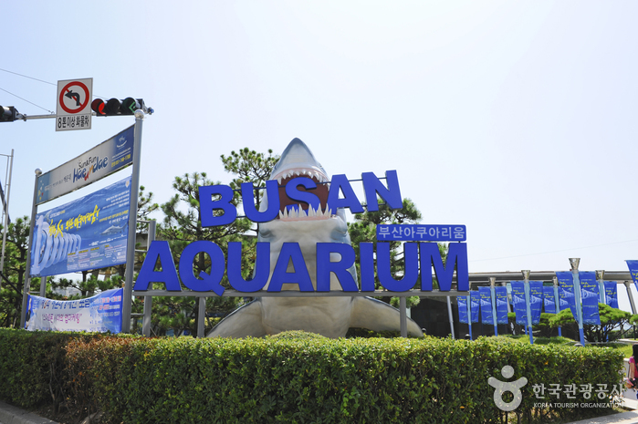 Busan Aquarium (부산아쿠아리움)