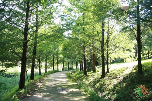 미동산수목원 이미지
