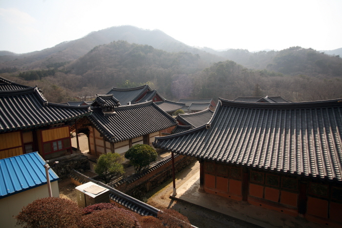 보조국사 사리탑에서 바라본 송광사 전각의 지붕