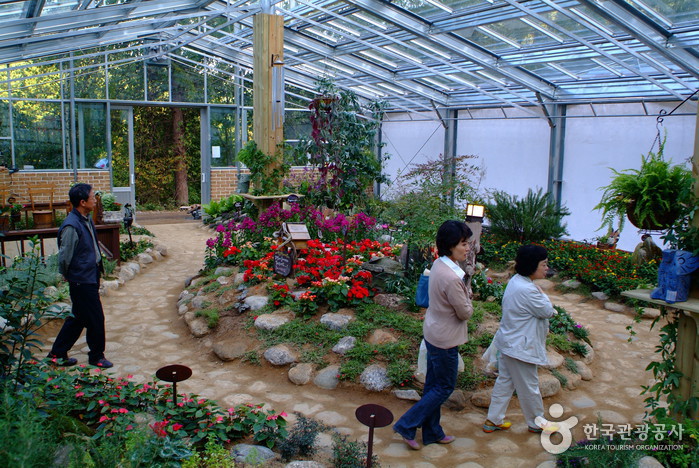 Herbnara Farm (허브나라농원)
