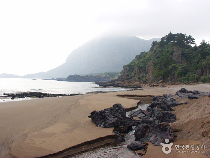 [제주올레 9코스] 대평-화순 올레2