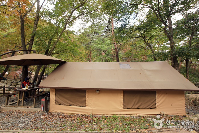 숲속의 집처럼 생긴 산막 텐트