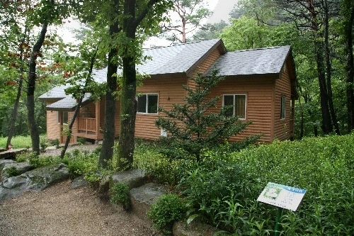 Forêt récréative de Daegwallyeong (국립 대관령자연휴양림)