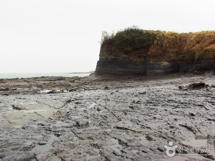 Jeokbyeokgang Cliffs (Buan) (부안 적벽강)  