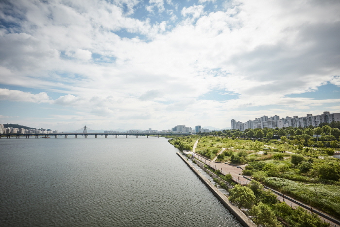 蠶室漢江公園(잠실한강공원)