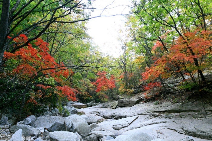 산정호수 명성산 억새꽃축제 2018  사진5