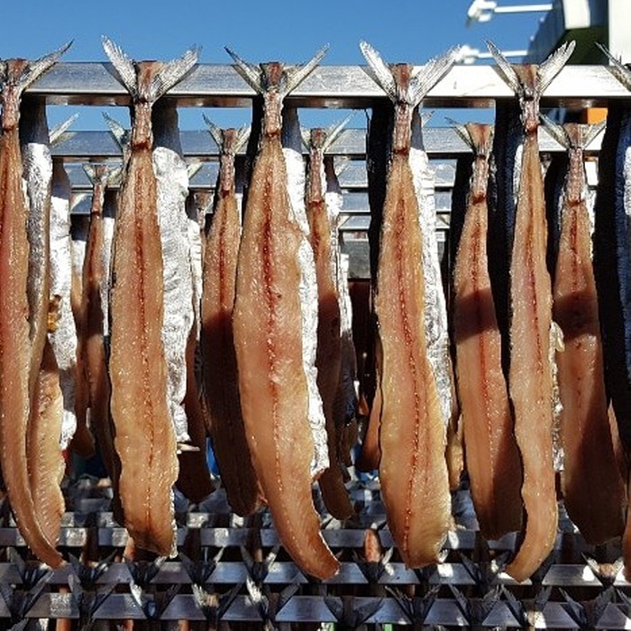 수산물페스티벌 20190