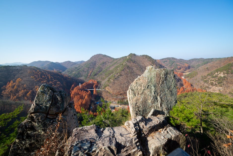 长泰山自然休养林(장태산자연휴양림)