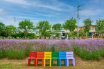 모산비행장 (5)