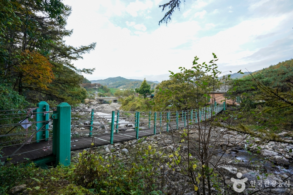 Yecheon Suspension Bridge Village (예천 출렁다리마을)
