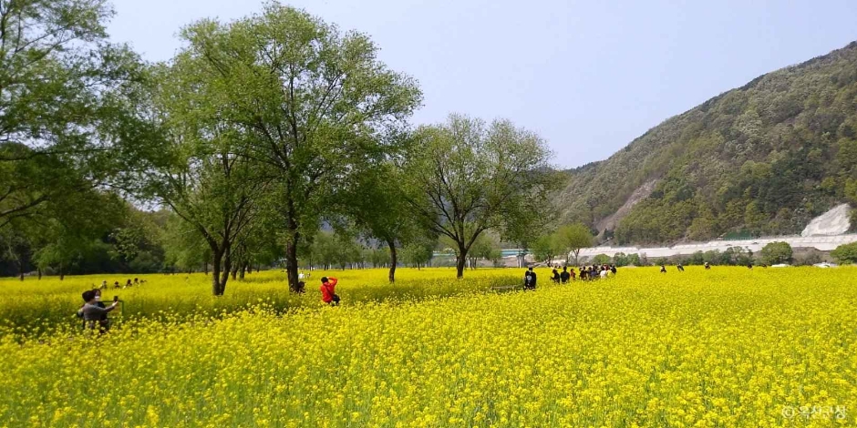 옥천금강수변친수공원