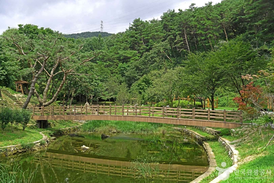 용두산 산림욕장