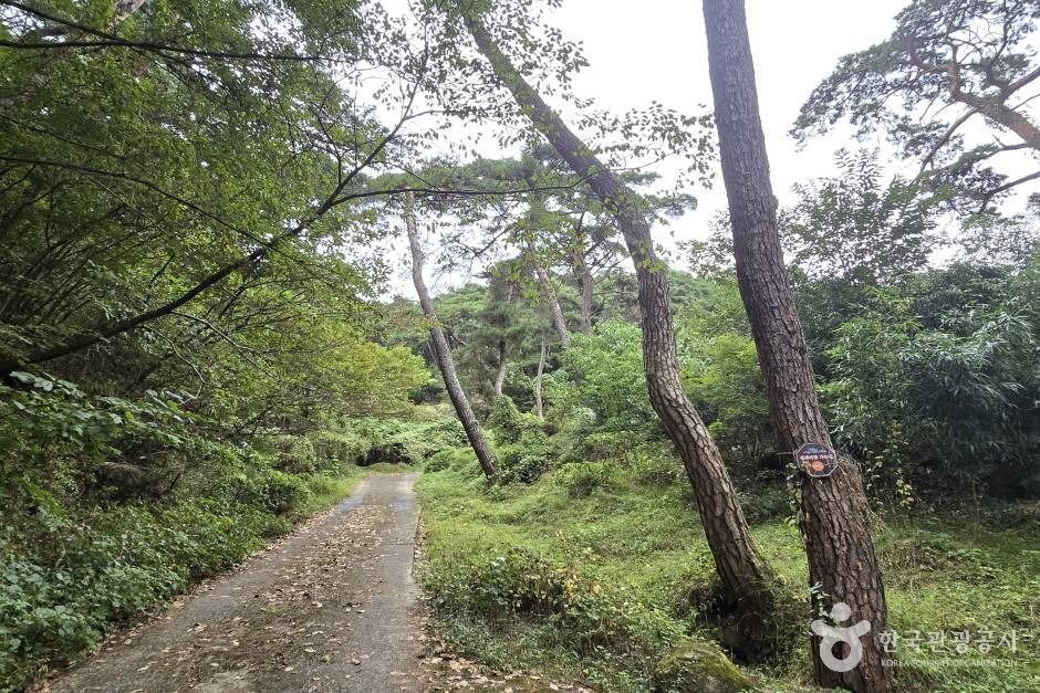 대구올레 팔공산 5코스 구암마을 가는 길_e (12)