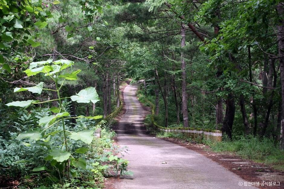 오도산