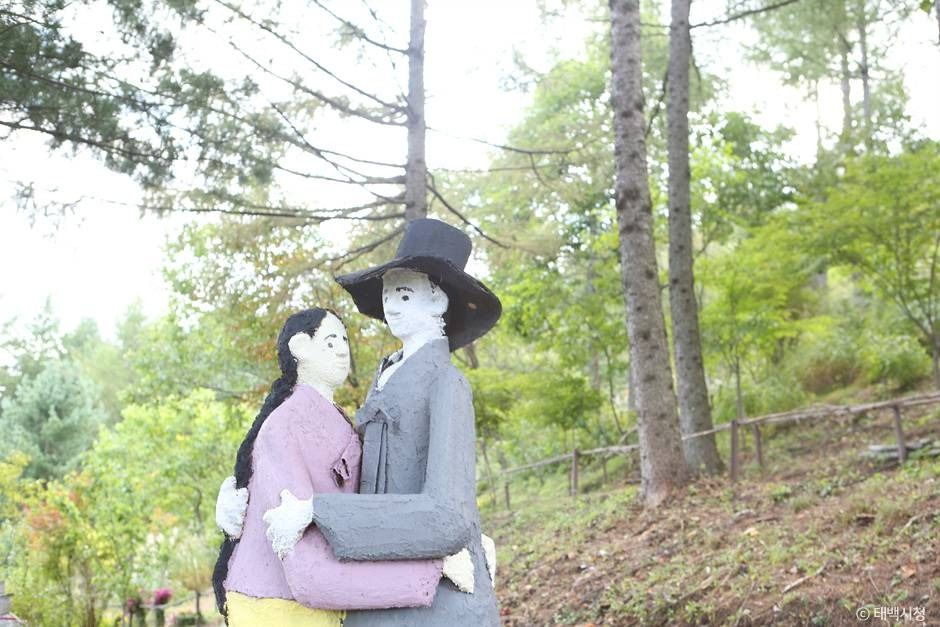 태백_황부자 며느리 친정가는 둘레길 (5)