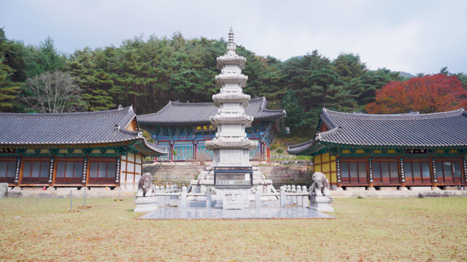 괴산_공림사 (4)