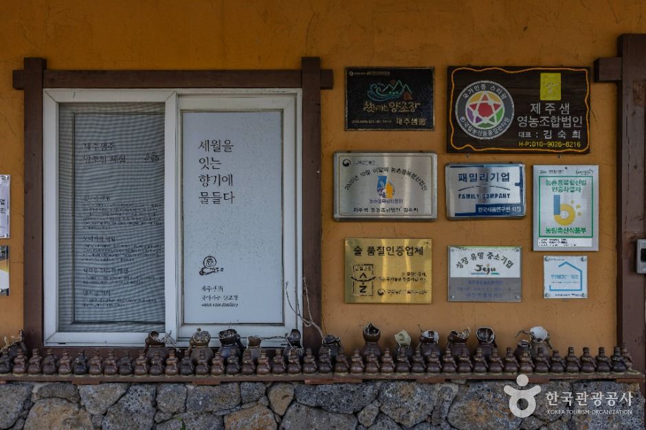 제주_제주샘주 양조장 (5)