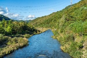 평창_금당계곡 (4)