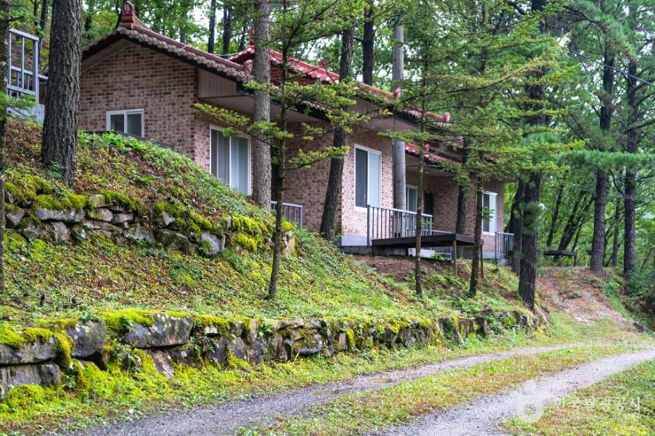 학가산자연휴양림