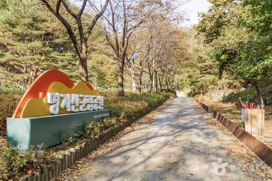 thumbnail-명지계곡-5
