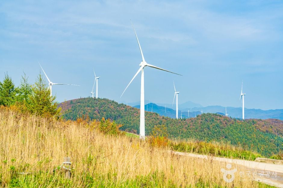 매봉산풍력발전단지(바람의 언덕)